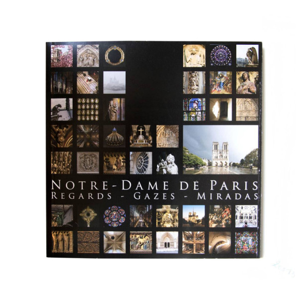 REGARDS - VIEWS - MIRADAS, Photos of Notre-Dame de Paris